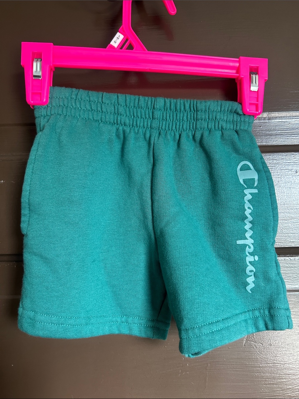 Champion Teal Kids Athletic Shorts with Logo; 2T